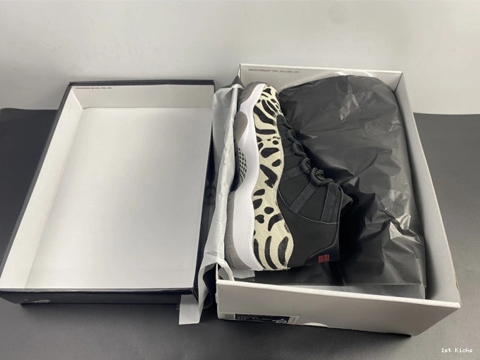 1st Kicks JORDAN INSTINCT AR0715-010 AIR ANIMAL 11 0809